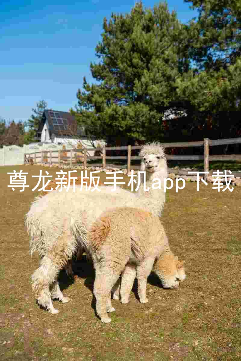 尊龙新版手机app下载