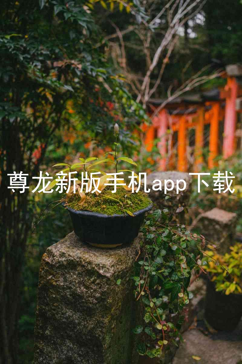 尊龙新版手机app下载
